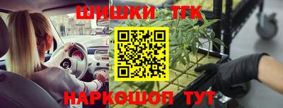 СК Пугачёв