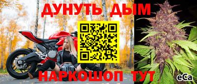 СК Пугачёв