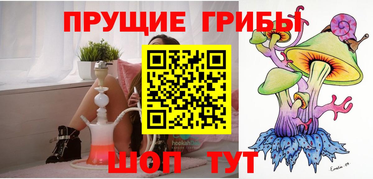 хочу наркоту  Псилоцибиновые грибы мицелий  Вход с VPN  Приморско-Ахтарск 